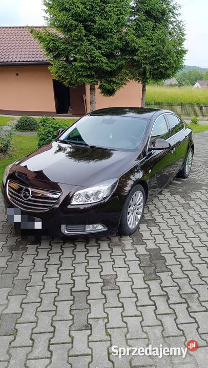 Opel Insignia małopolskie Filipowice