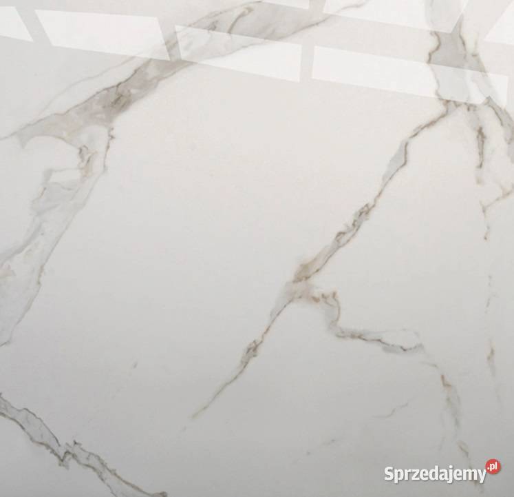 Gres POLER 60x60 CALACATTA CARRARA złota żyłka Łask