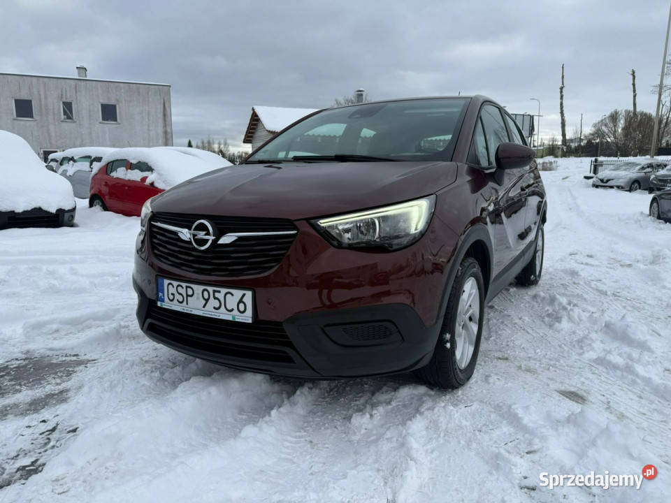 Opel Crossland X Opel Crossland X 2018 12 Słupsk