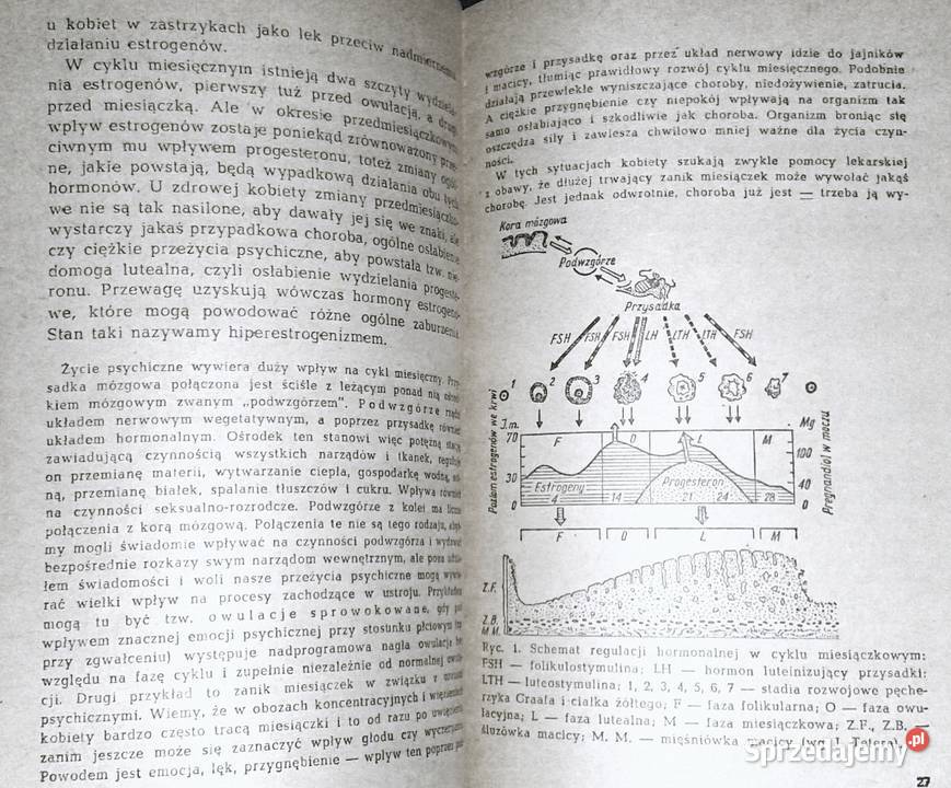 Druga i trzecia młodość kobiety Kinga miękka Chełm