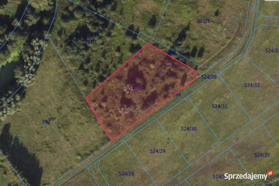 Działka 3356m2 Drewnica Zielona Sprzedaż