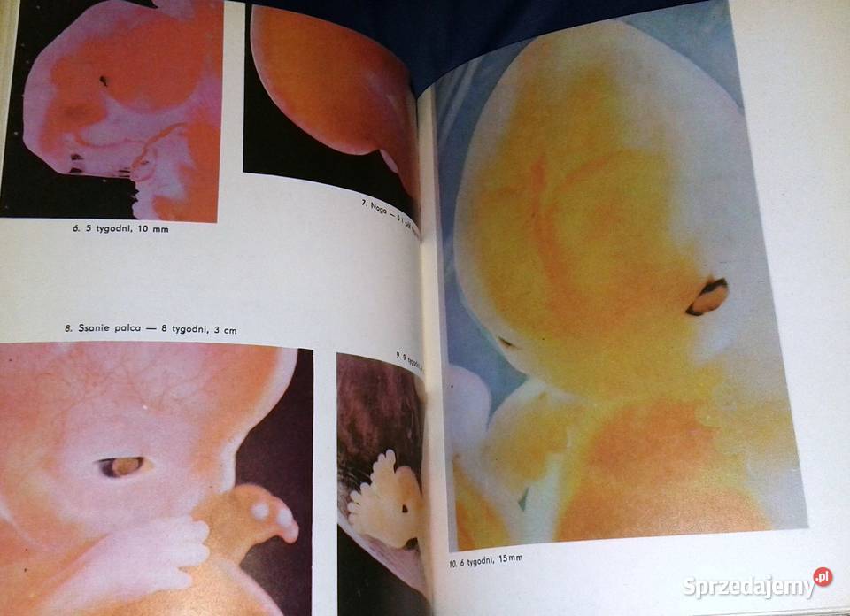 Dar rodzenia Włodzimierz Fijałkowski Chełm