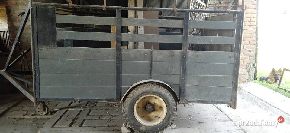 Wózek do przewozu zwierząt Gałęzów-Kolonia Druga