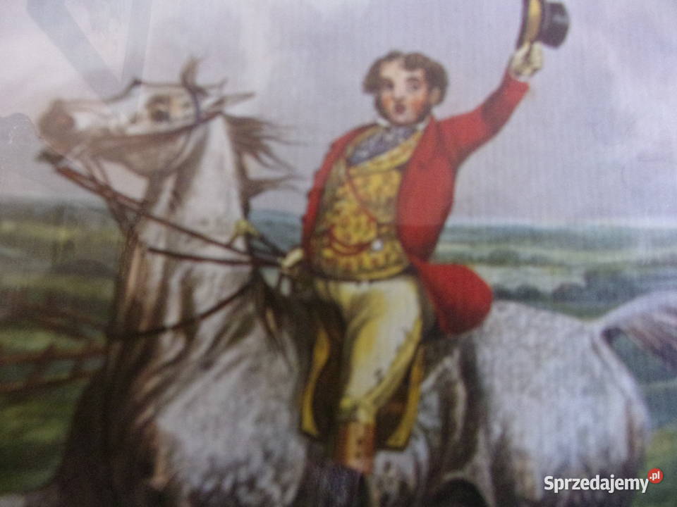 Ładny stary obraz w ramie drewno szybą Hrabia na mazowieckie Warszawa