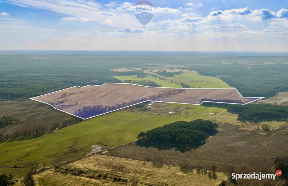 Działka rolna na sprzedaż aż 925 ha polna Koźla sprzedam