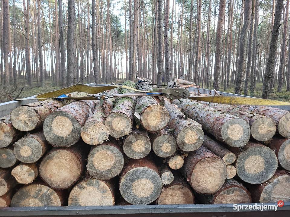 SUCHE drewno opalowe kominkowe sosna