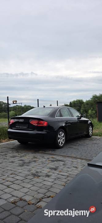 Audi b8 Tuchola