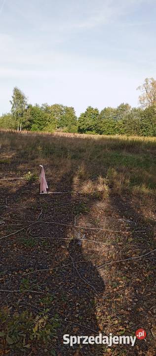 Działka 2400m2 sprzedam
