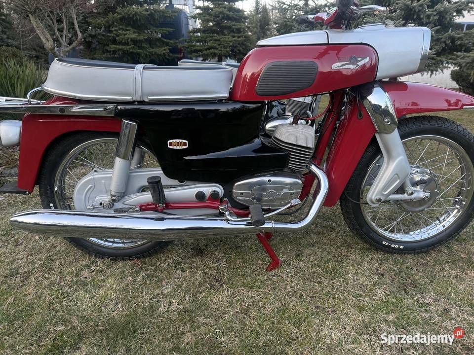 SHL m17 GAZELA świętokrzyskie Wąchock