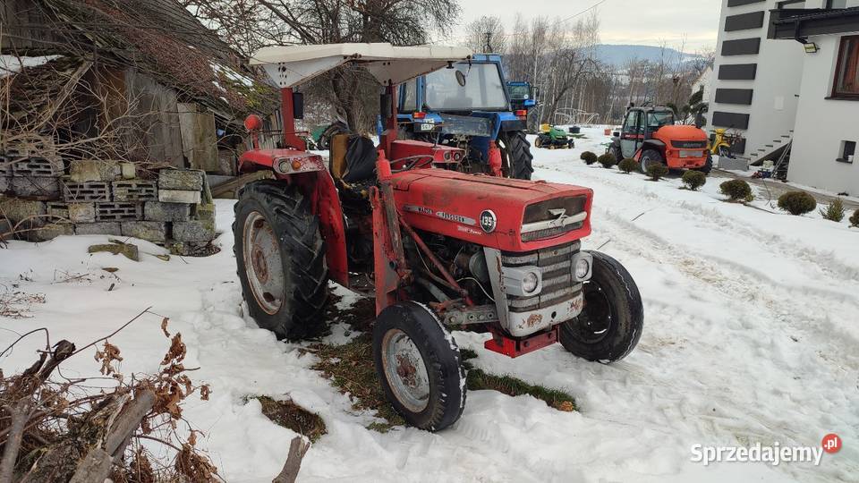 Massey Ferguson 135 multipower Limanowa