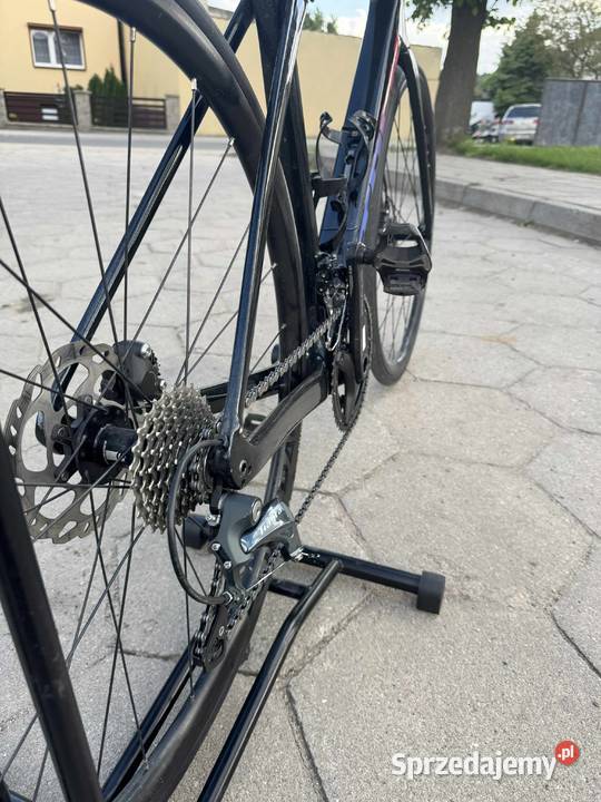 trek domane do ustalenia Stankowo