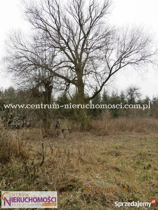 Działka Latowicz 5800m2 wiata drewniana z altaną Latowicz sprzedam