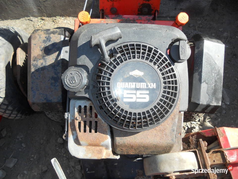 Kersten BriggsStratton Zamiatarka Mocna Pilzno
