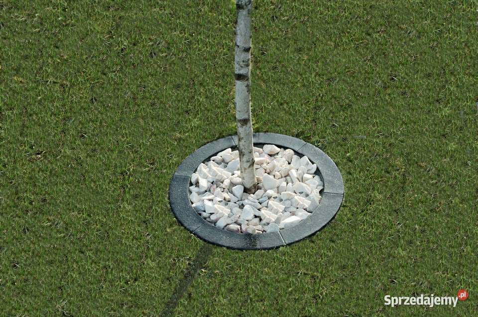 Obrzeże trawnikowe do drzew śr 50 sprzedam