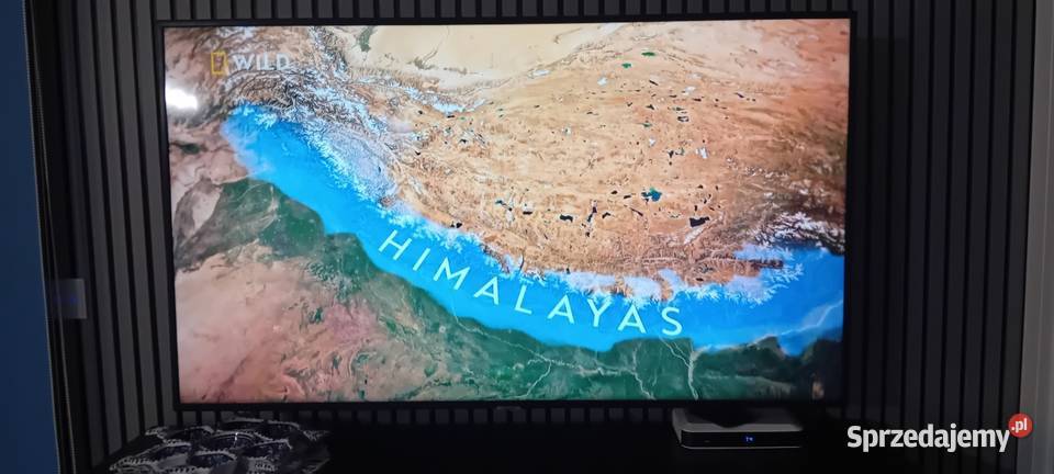 telewizor LEDLCD Samsung 55 Włocławek