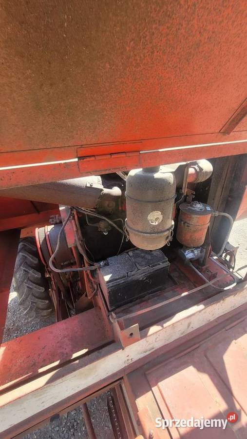 Massey Ferguson 186 Sieczkarnia-rozdrabniacz Rzeplin