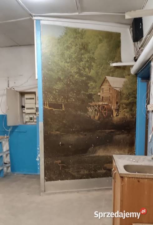 centrum Tczewa I pod usługi i handel I Starówki Tczew