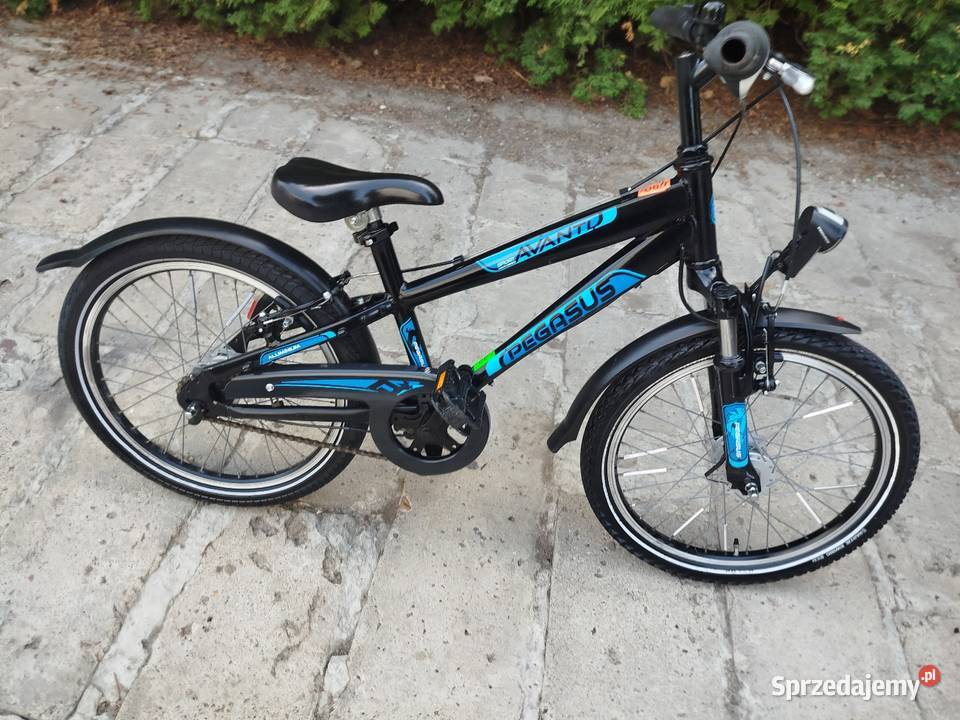 Rower dziecięcy Pegasus koło 20 przywieziono z Zamość