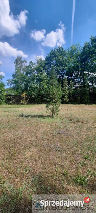 sprzedaży działki Dąbrowa Górnicza Spacerowa