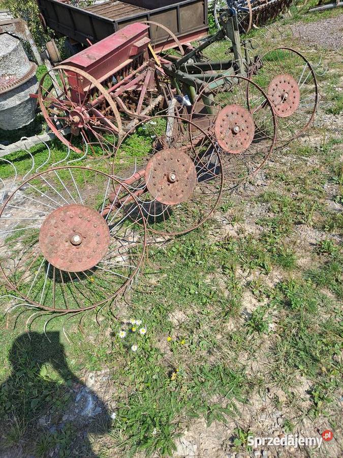 Słoneczko przewracarka nieuszkodzony świętokrzyskie