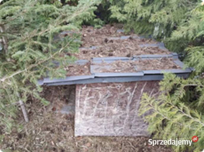 Buda ukochanego pupila Szadek