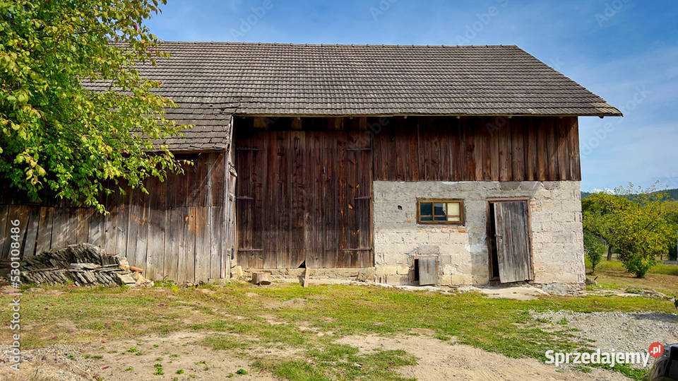 Hydraulika Rozbiórki Remonty Elektryka Tarnów sprzedam