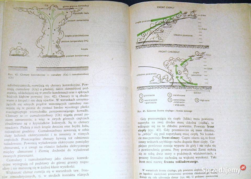 Geografia fizyczna z geologią Wojciech