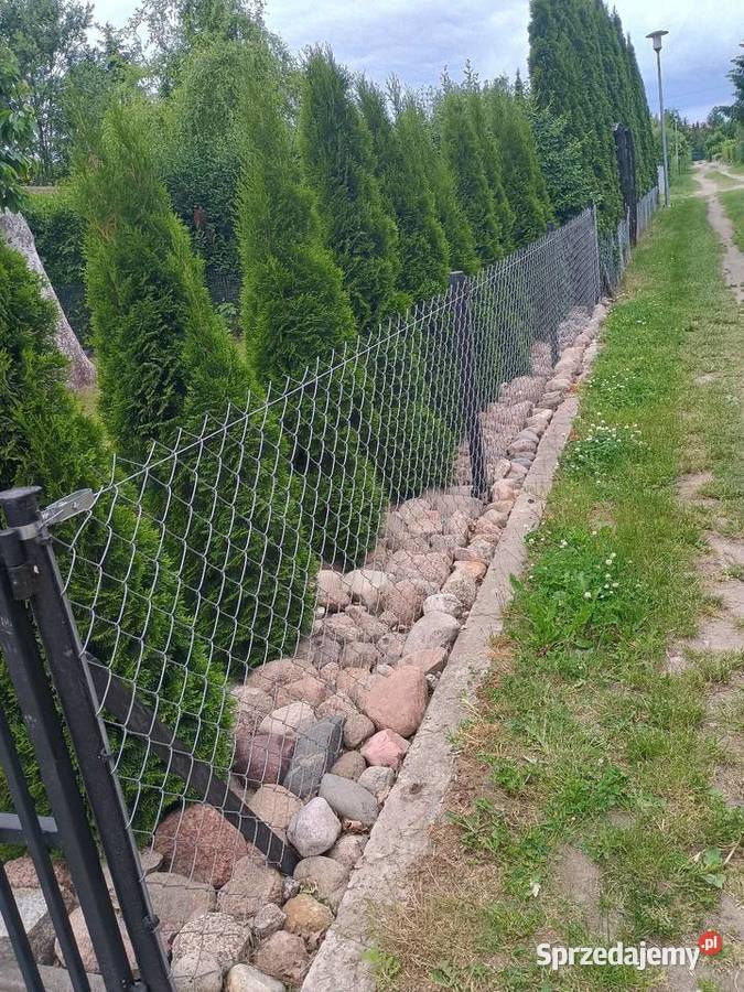 Działka ROD MEDYCZNA w Plocku sprzedam