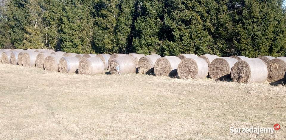 Ściółka z siana 50zl Bierdzany