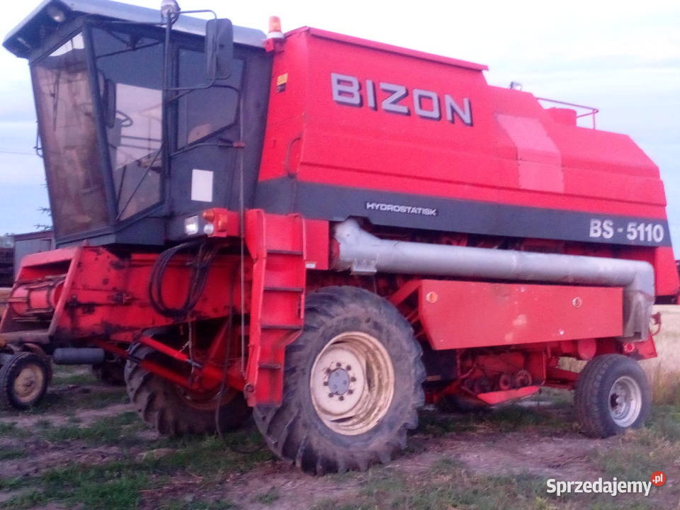 Bizon bs Bizon Wąbrzeźno