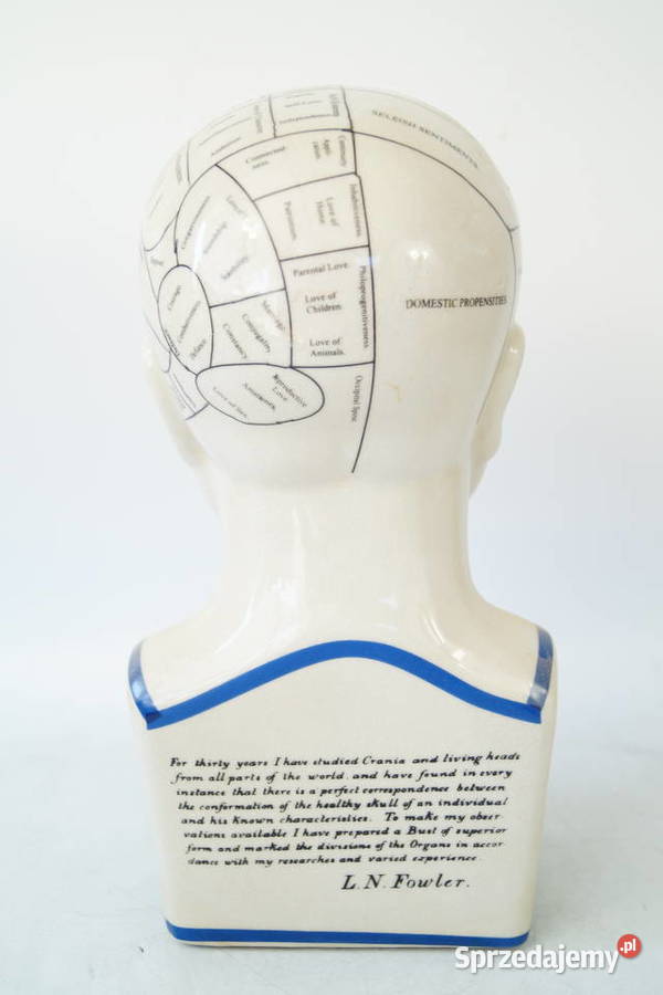 Duża głowa medyczna porcelanowa PHERNOLOGY Gizałki