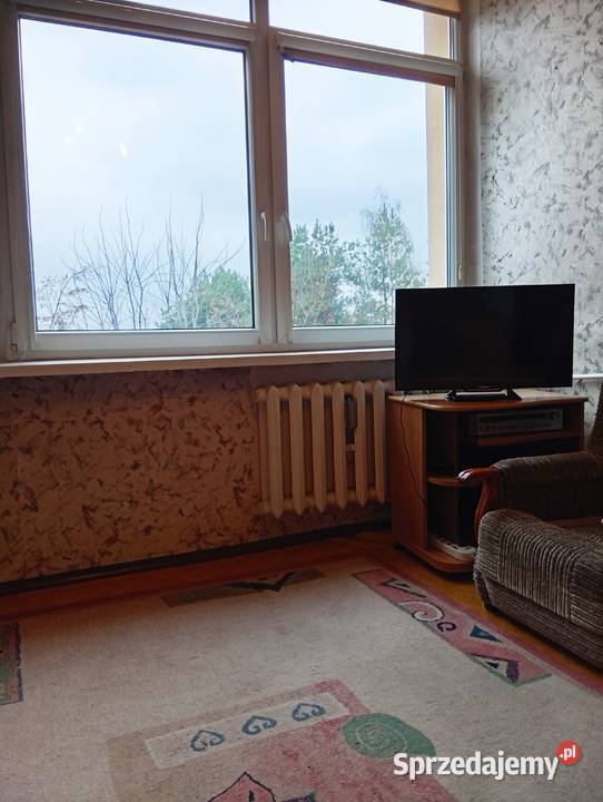 Mieszkanie z potencjałem w Ząbkowicach natury i Liczba pokoi 2