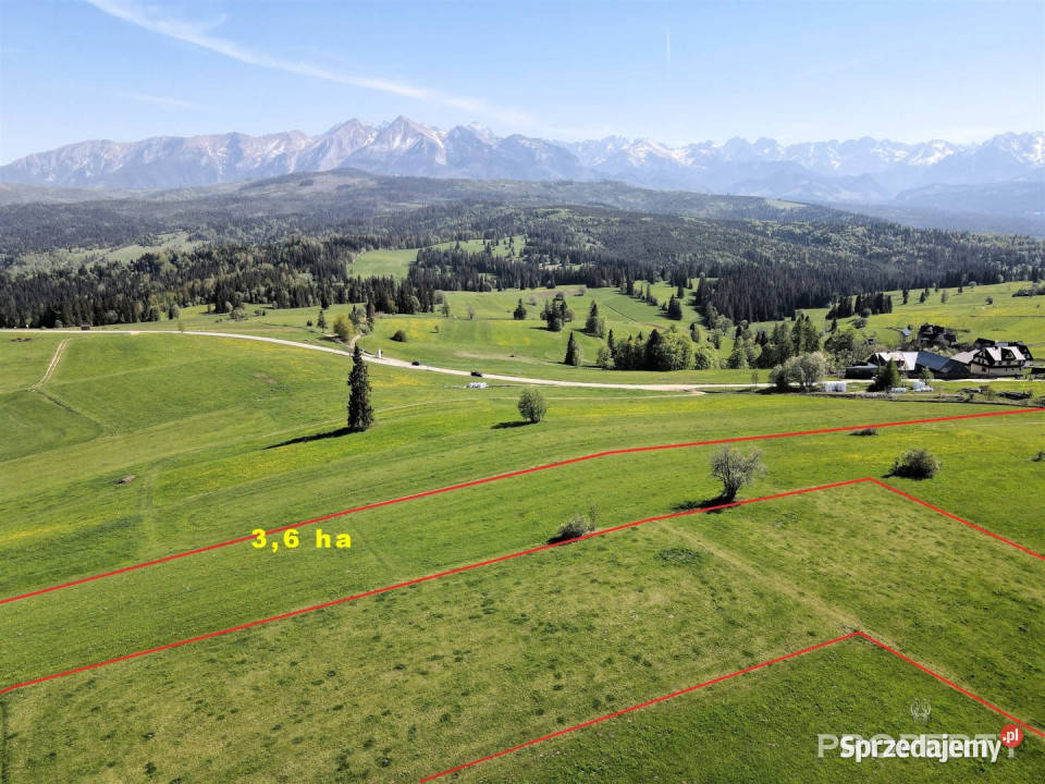 Działka Łapszanka 30600m2 utwardzona sprzedam