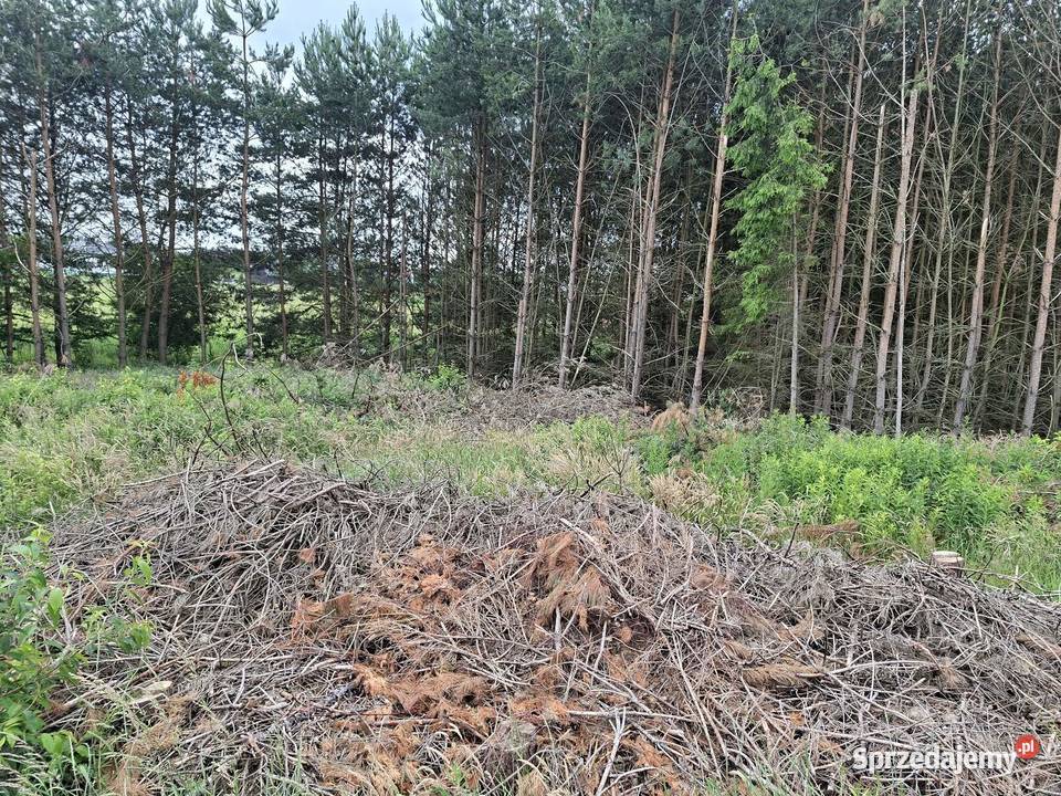 Działka podkarpackie Przewrotne