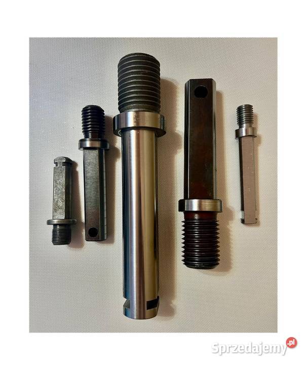 Zabieraki do wilków masarskich lubuskie