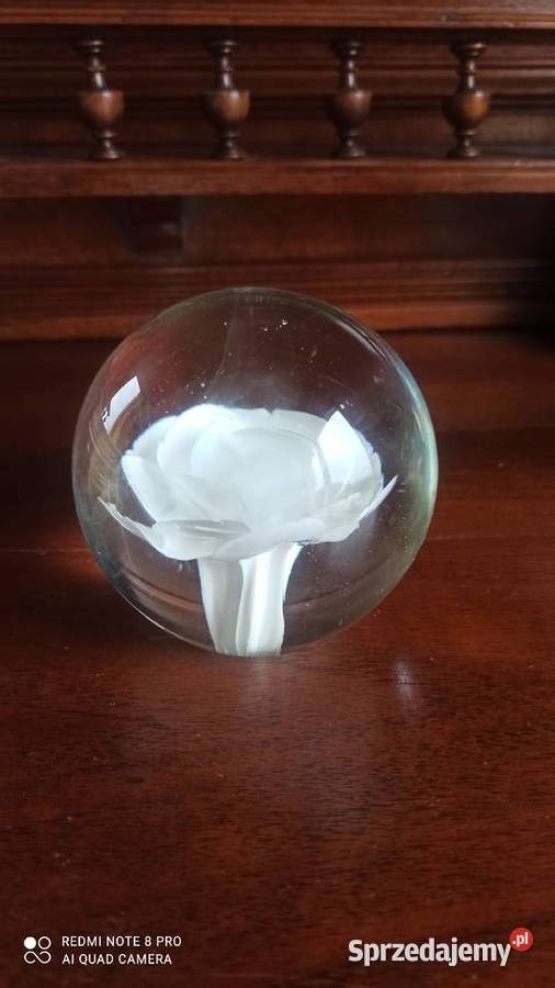 Kula szklana z białą różą przycisk na biurko Gdańsk