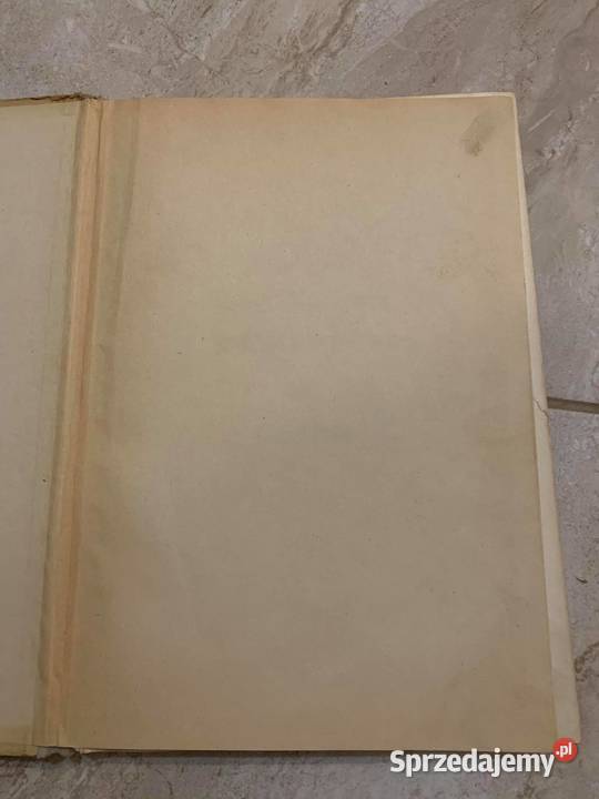 Deutsches Vorfeld im Osten książka z 1941 r