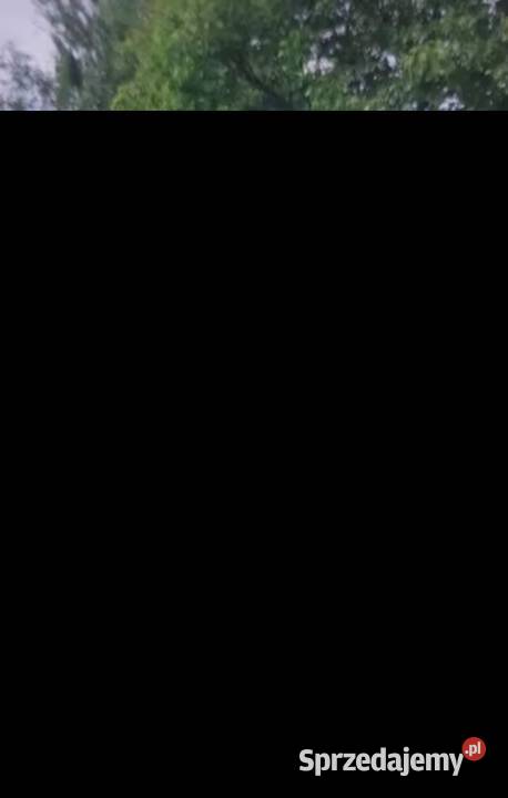 GIGANT XXL KOSTIUM DMUCHANY MISIA PANDY 26 METRA Pozostałe Mysłowice sprzedam