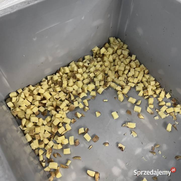 Kostkownica Fam Dorphy Zamość