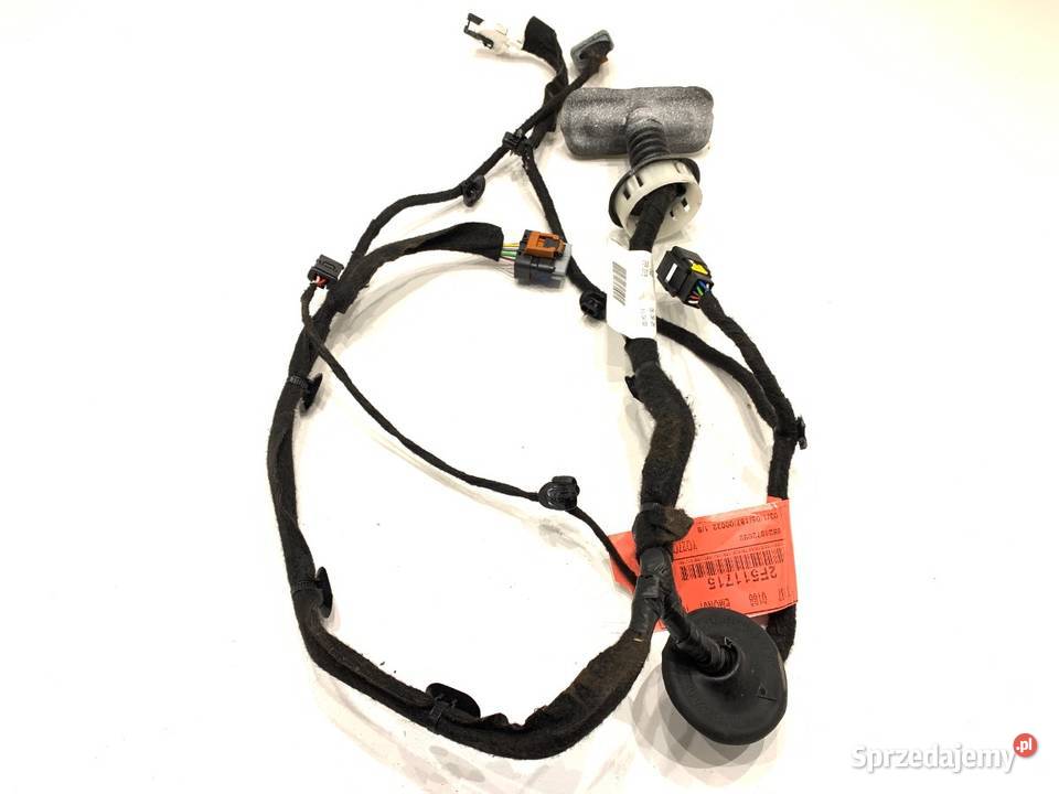 WIĄZKA DRZWI PRZÓD LEWY OPEL VIVARO C 9824872080 sprzedam