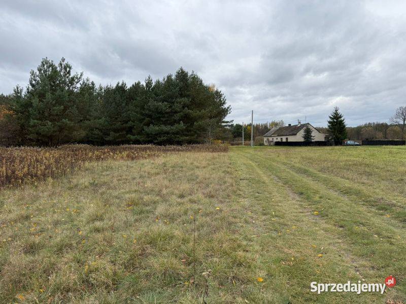 Duża działka z warunkami zabudowy w 47zł/m2 Gostynin