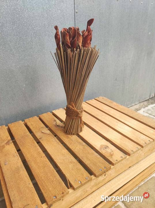 Bukiet z suszu egzotycznego boho naturalna Podkałek