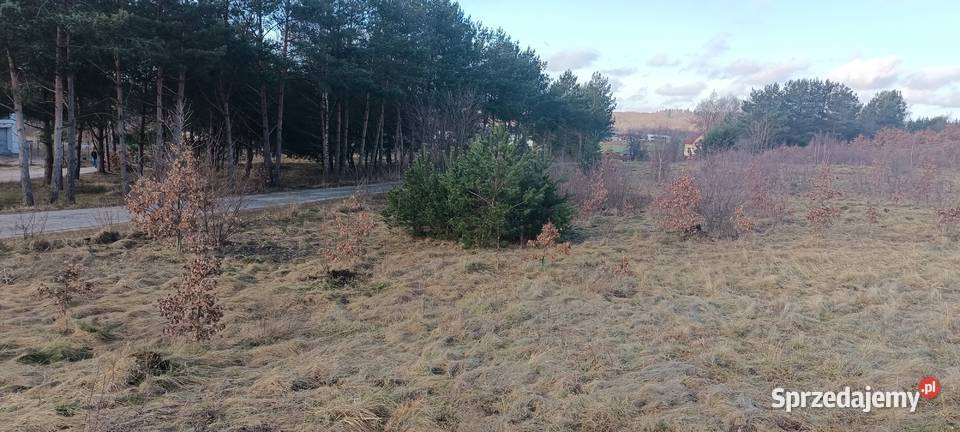 Działka budowlana jeziorem Lubowidz druga linia woda sprzedam