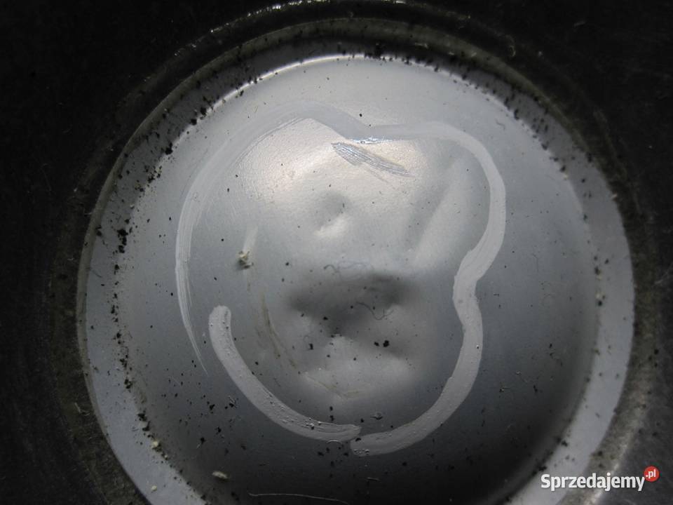 LAND ROVER DISCOVERY III 07r głośnik drzwi lewy sprzedam