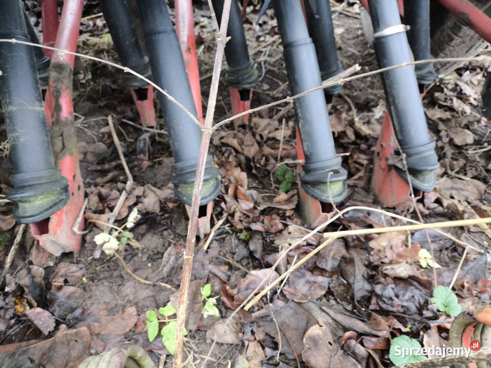 Sprzedam agregat siewny 3 metrowy nieuszkodzony Suwałki sprzedam