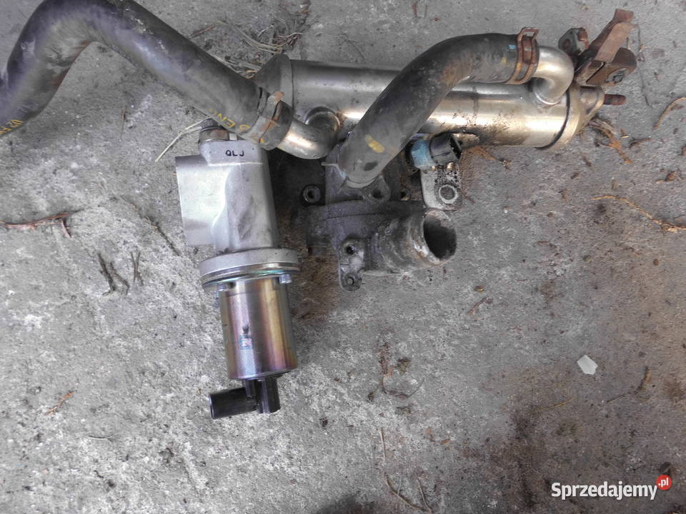 zawó EGR hyundai i30 II CRDI 5pin nowy osobowe sprzedam