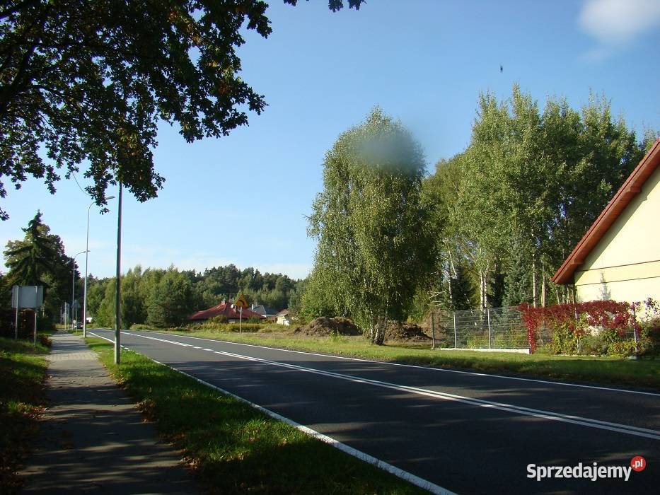 Dz Inwestycyjna 3498 m2 ok Trzebnickiej MEDIA Wilczyn sprzedam