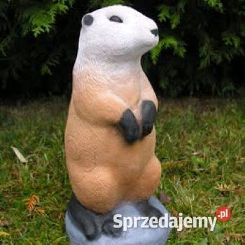 cele 3D Sport i Wypoczynek dolnośląskie Oława