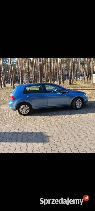 VW golf 7 16 TDI 110 świętokrzyskie Olszówka Pilczycka sprzedam