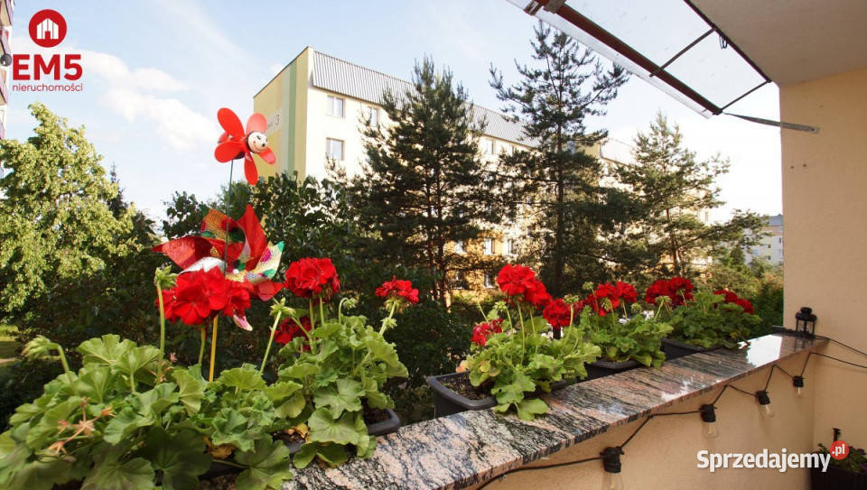 sprzedaży mieszkania Białystok 589 metrów 3pok Sprzedaż